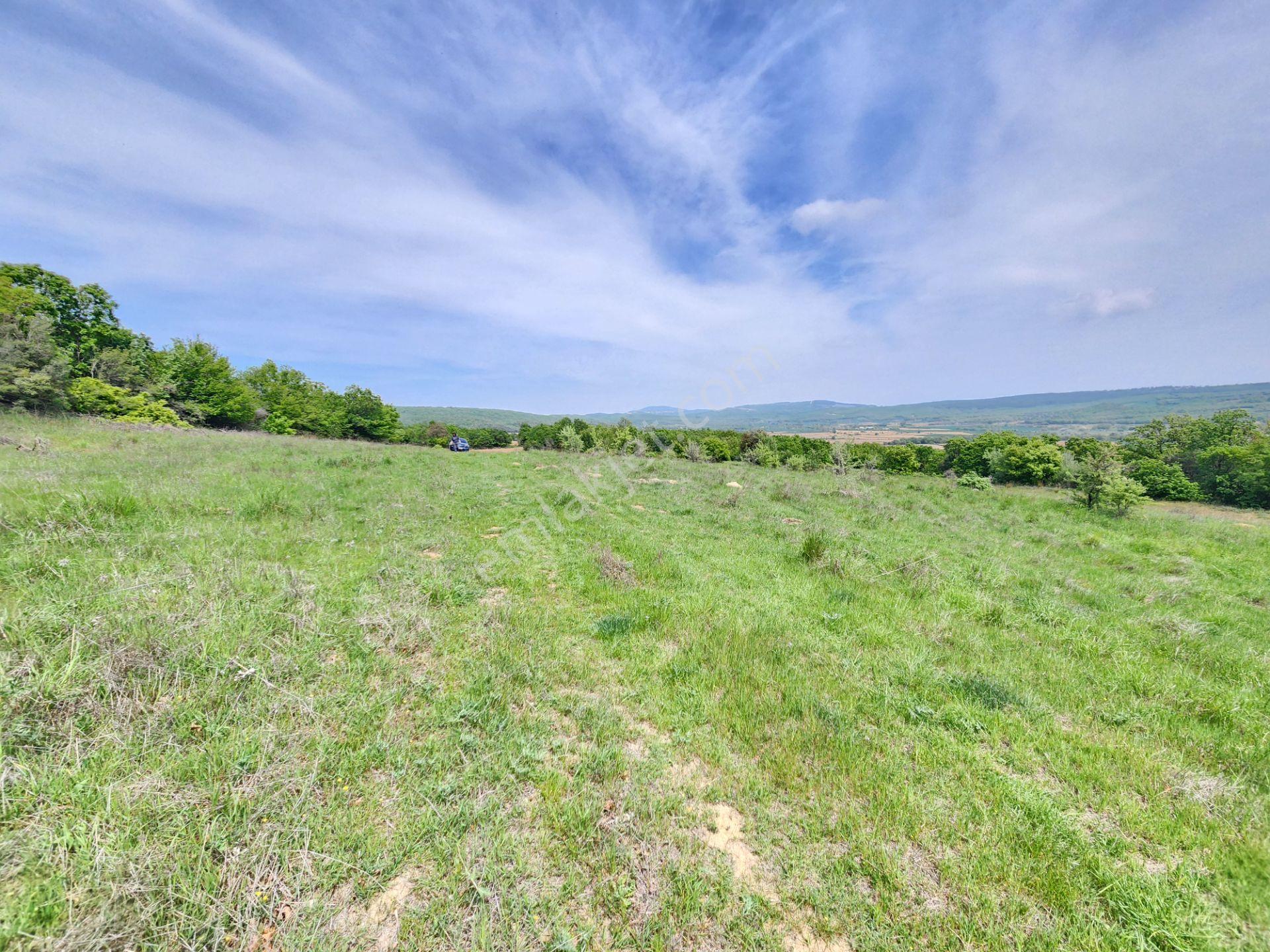 Edirne Keşan Koruklu 5713 M2 Deniz Manzaralı Yola Cephe Tarla - Görsel 19