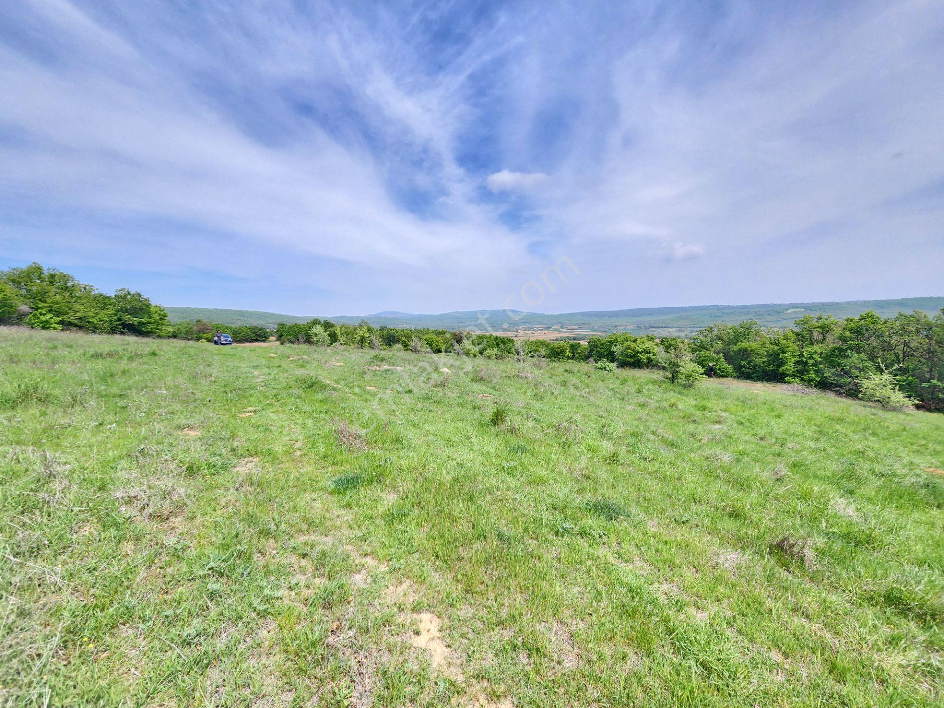 Edirne Keşan Koruklu 5713 M2 Deniz Manzaralı Yola Cephe Tarla - Görsel 17