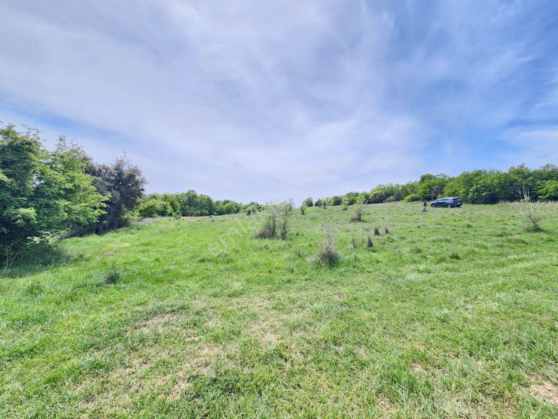Edirne Keşan Koruklu 5713 M2 Deniz Manzaralı Yola Cephe Tarla - Görsel 13