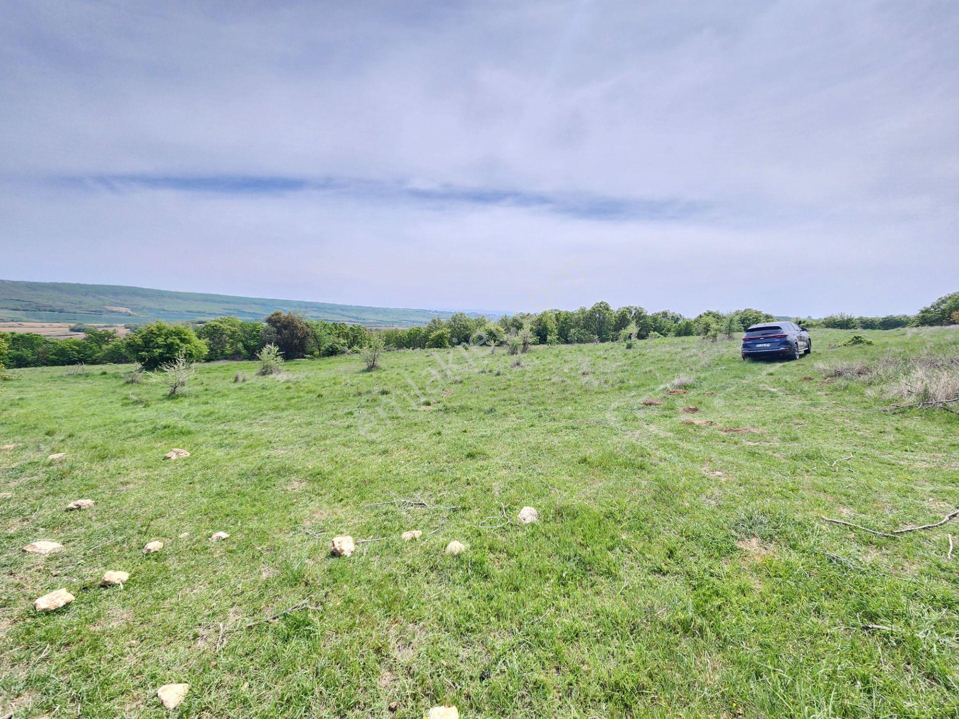 Edirne Keşan Koruklu 5713 M2 Deniz Manzaralı Yola Cephe Tarla - Görsel 7