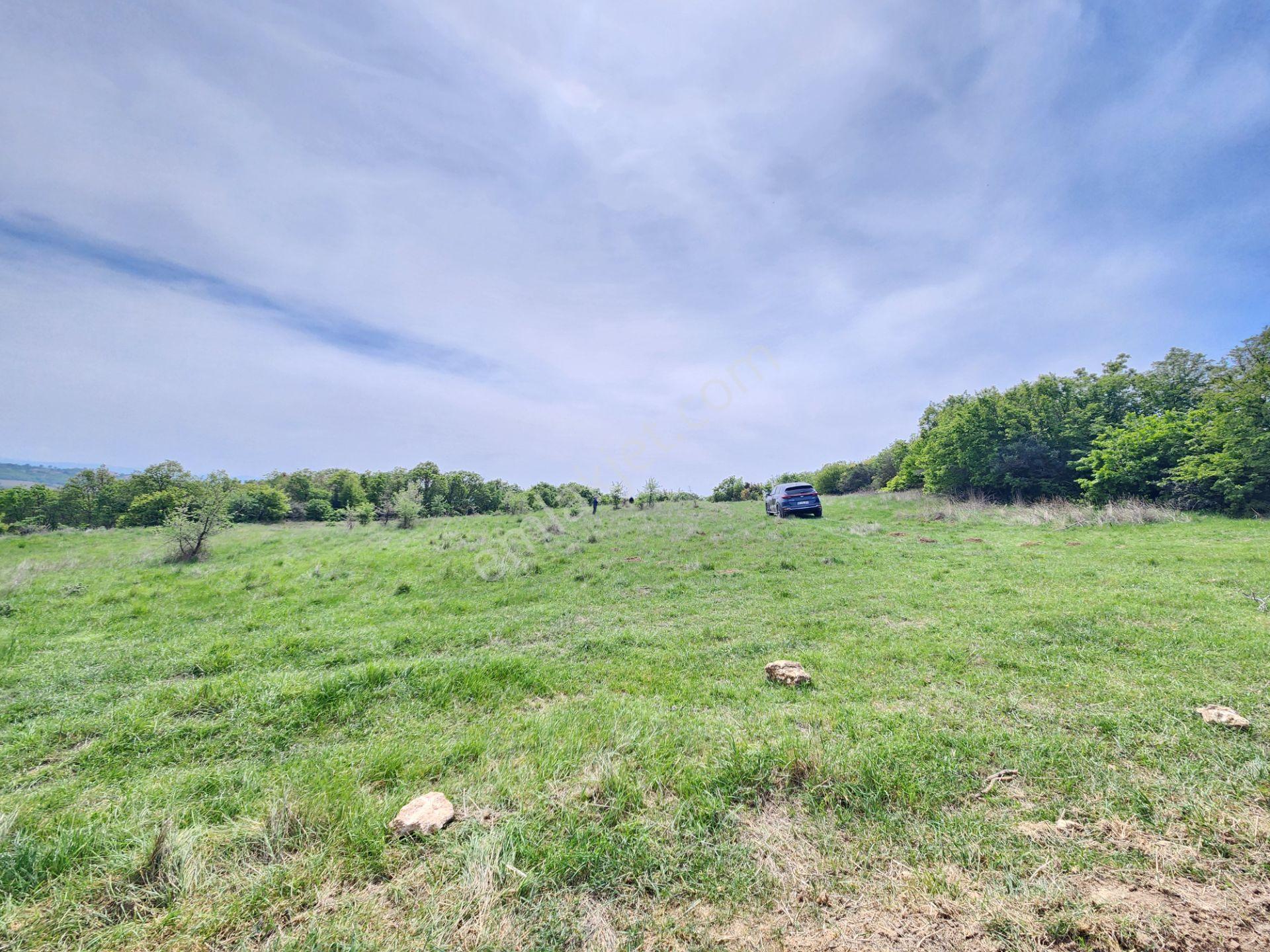 Edirne Keşan Koruklu 5713 M2 Deniz Manzaralı Yola Cephe Tarla - Görsel 9