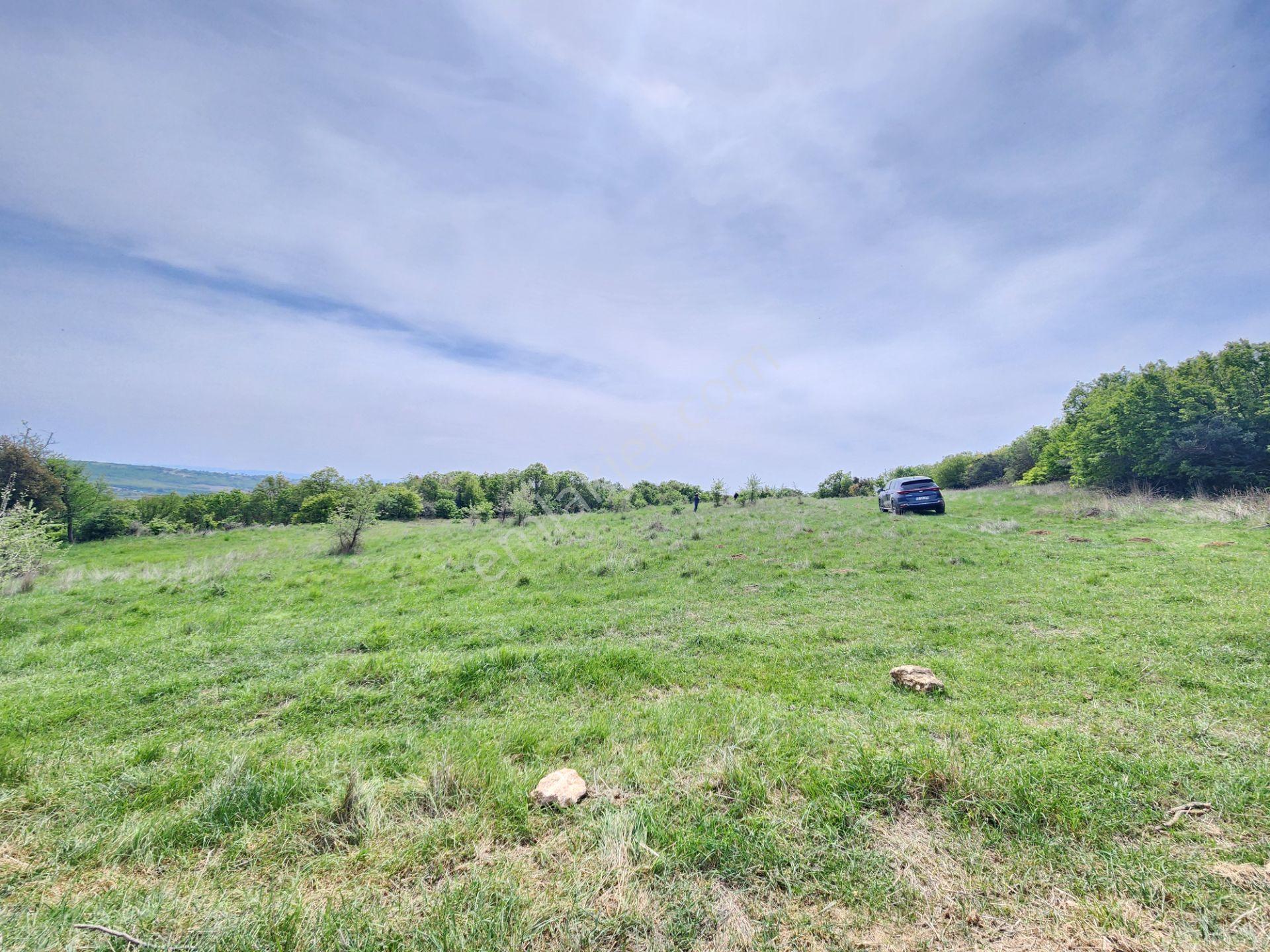 Edirne Keşan Koruklu 5713 M2 Deniz Manzaralı Yola Cephe Tarla - Görsel 8