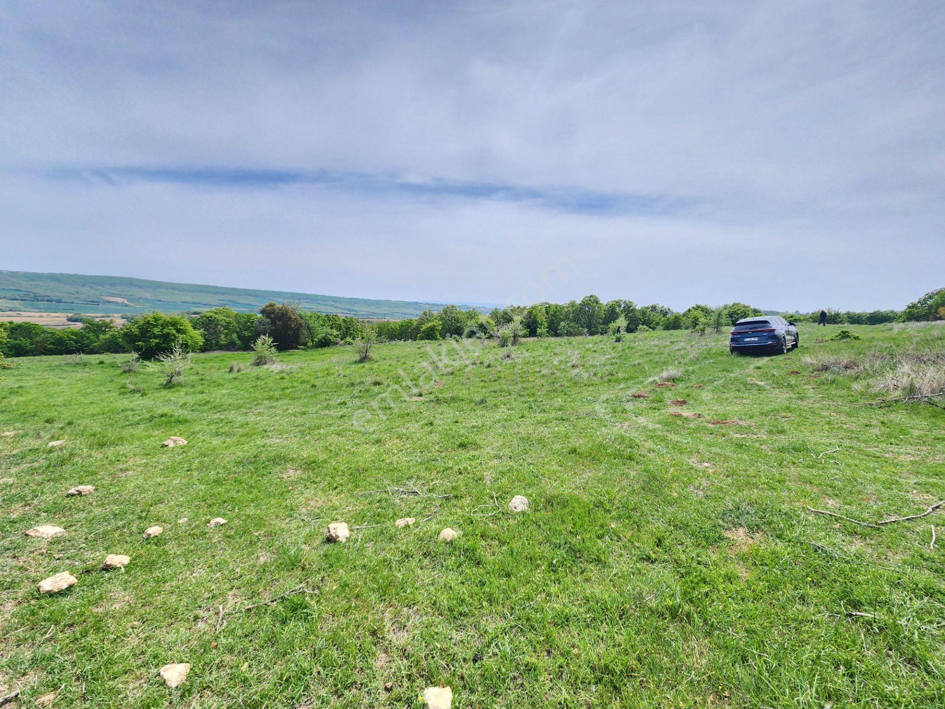 Edirne Keşan Koruklu 5713 M2 Deniz Manzaralı Yola Cephe Tarla - Görsel 5