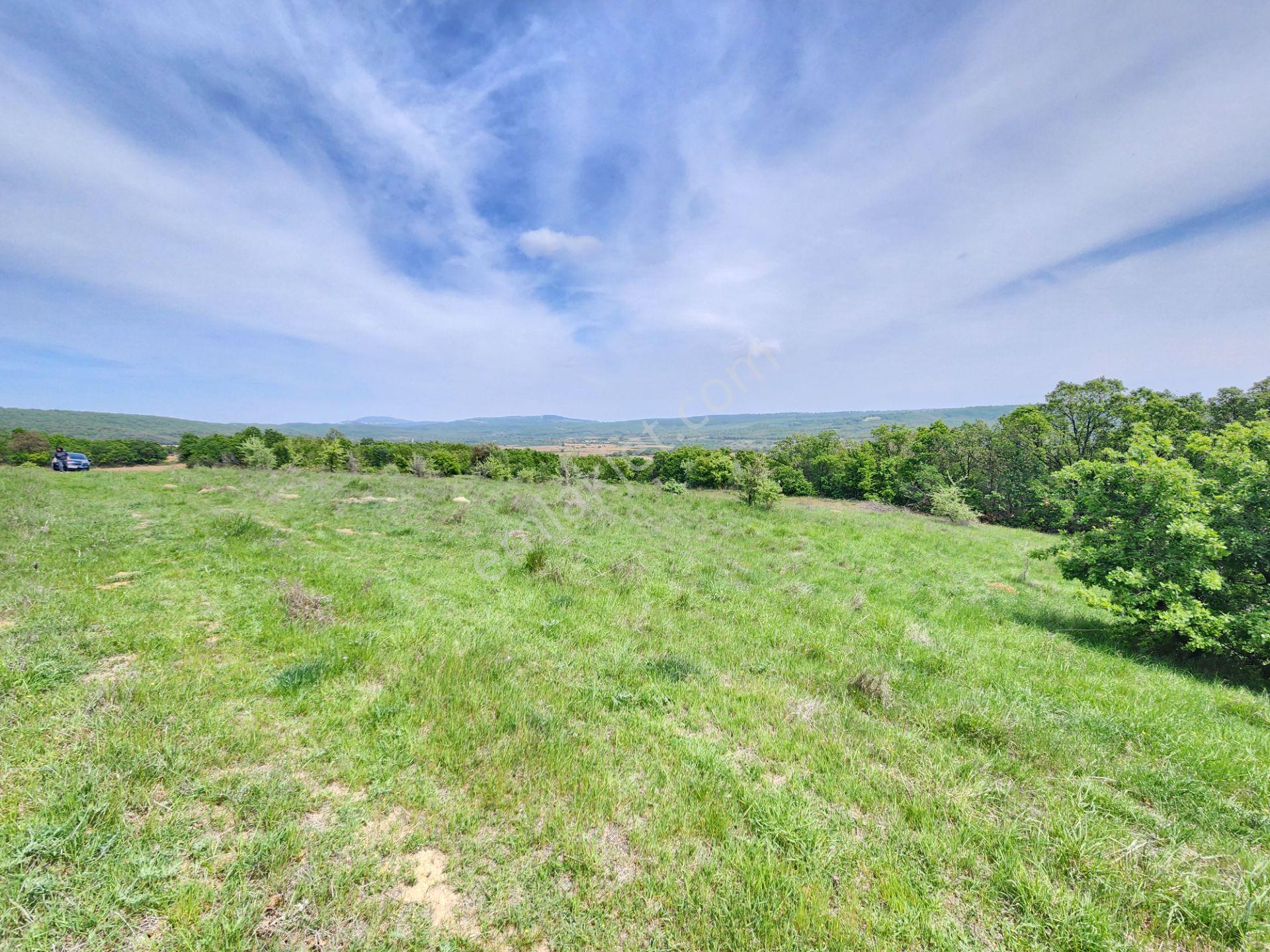 Edirne Keşan Koruklu 5713 M2 Deniz Manzaralı Yola Cephe Tarla - Görsel 18