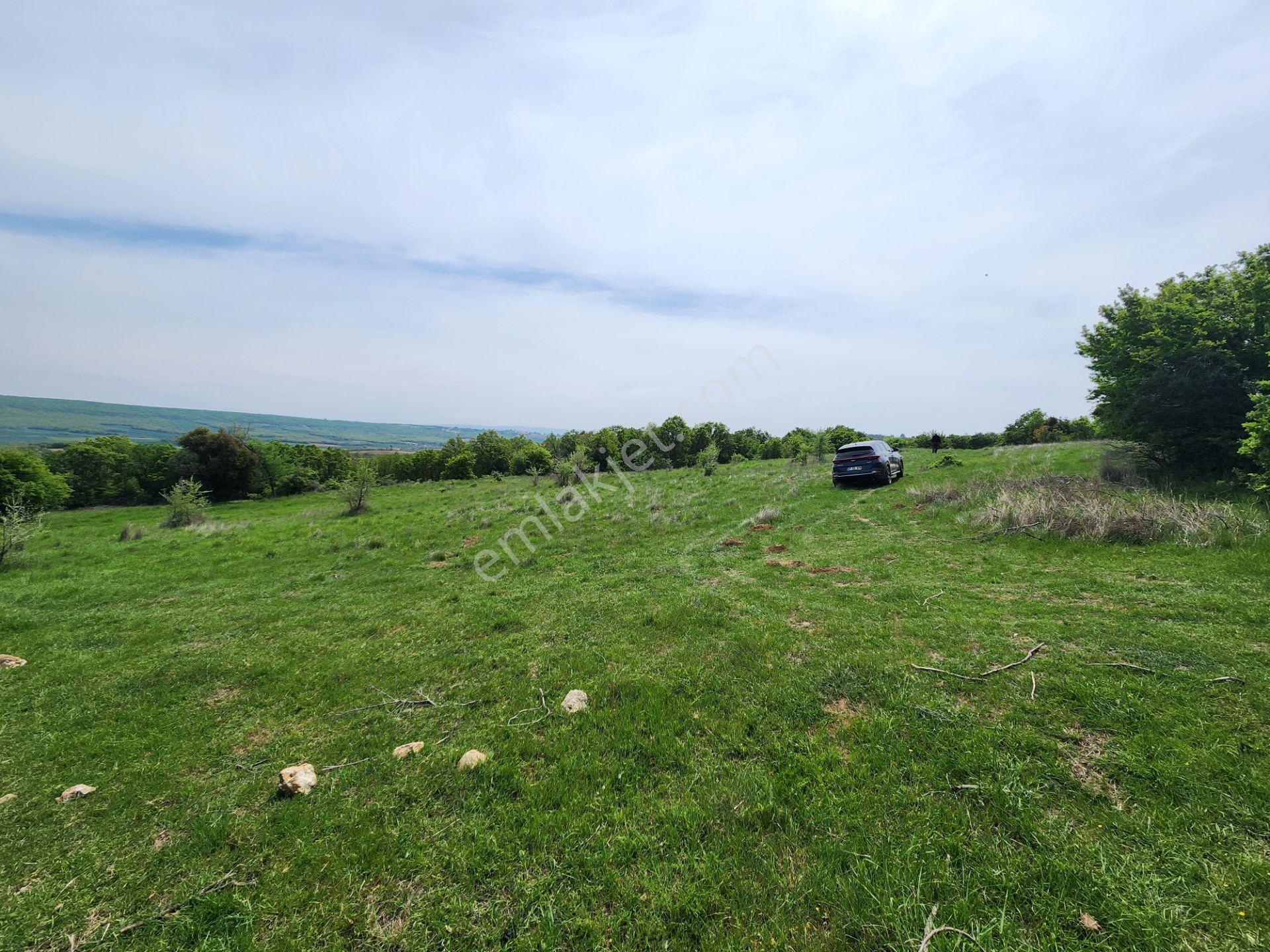 Edirne Keşan Koruklu 5713 M2 Deniz Manzaralı Yola Cephe Tarla - Görsel 4
