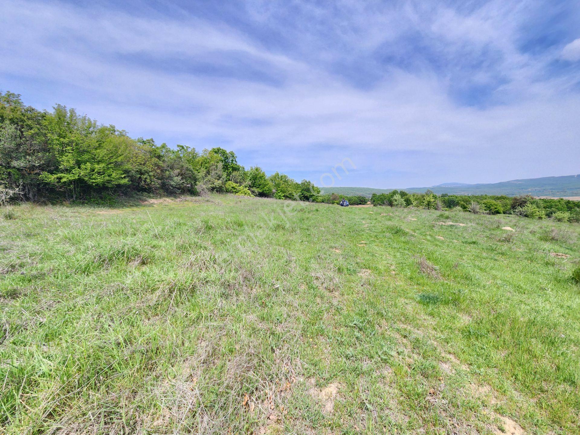 Edirne Keşan Koruklu 5713 M2 Deniz Manzaralı Yola Cephe Tarla - Görsel 20