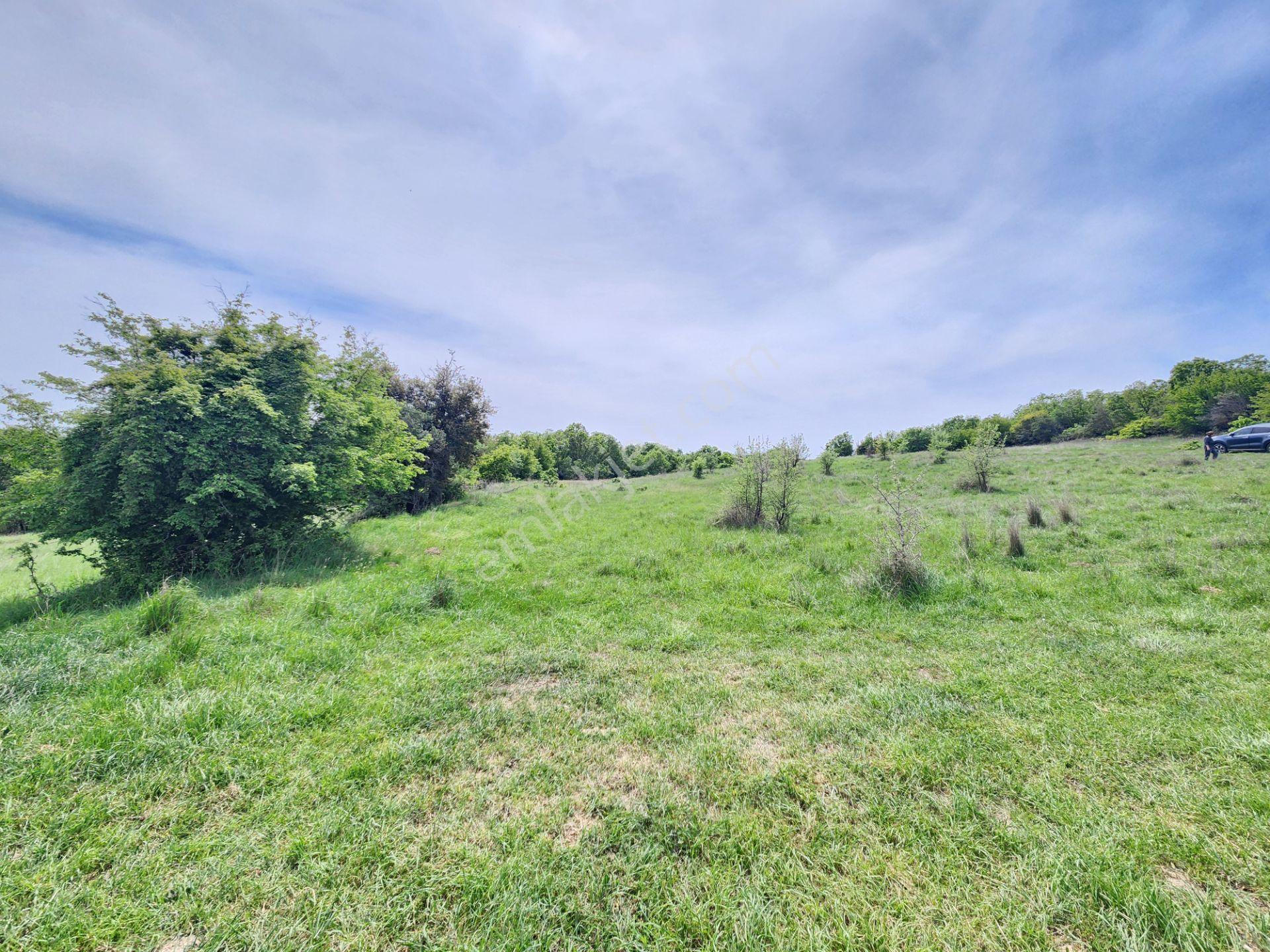 Edirne Keşan Koruklu 5713 M2 Deniz Manzaralı Yola Cephe Tarla - Görsel 14