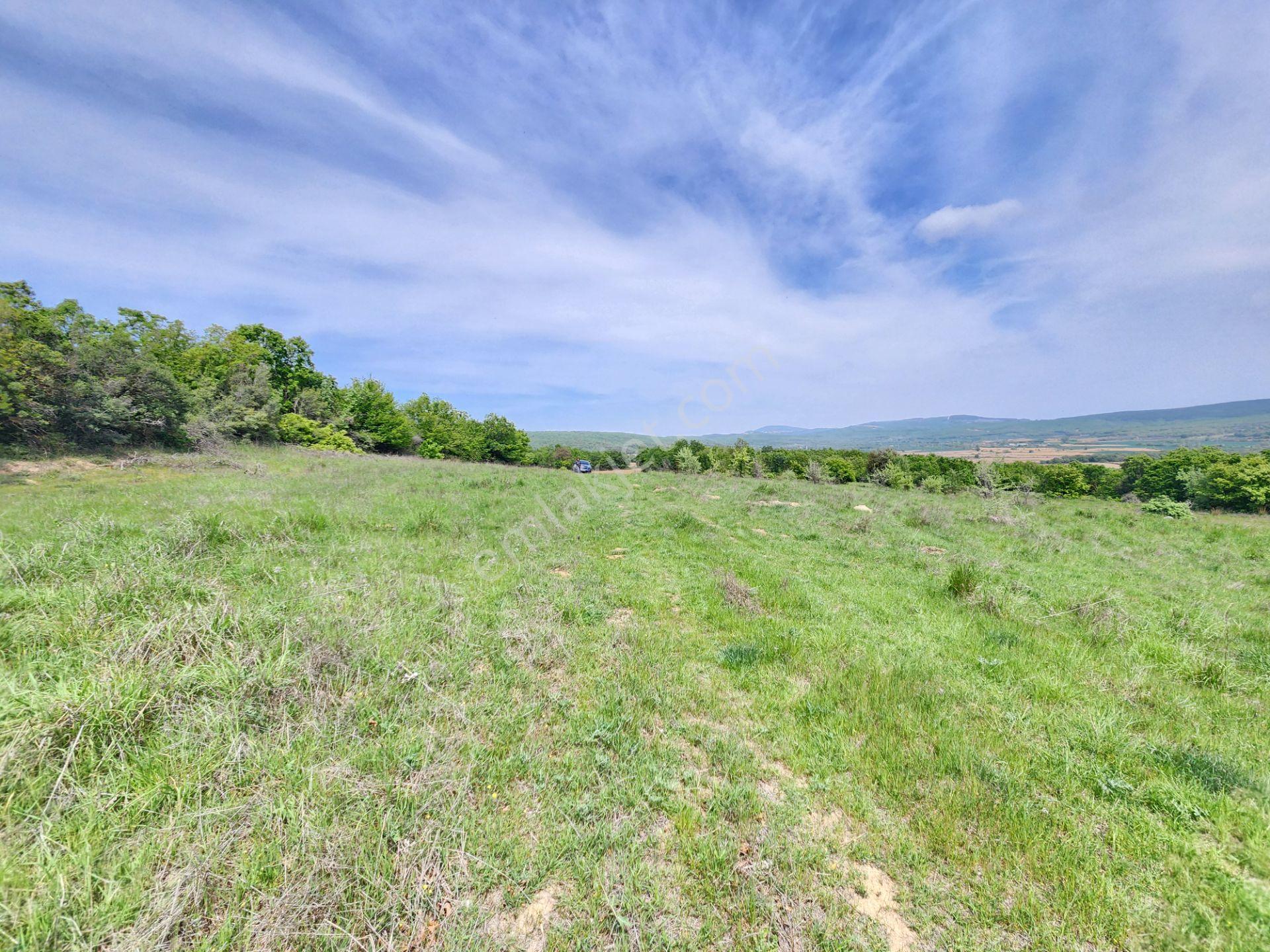 Edirne Keşan Koruklu 5713 M2 Deniz Manzaralı Yola Cephe Tarla - Görsel 15