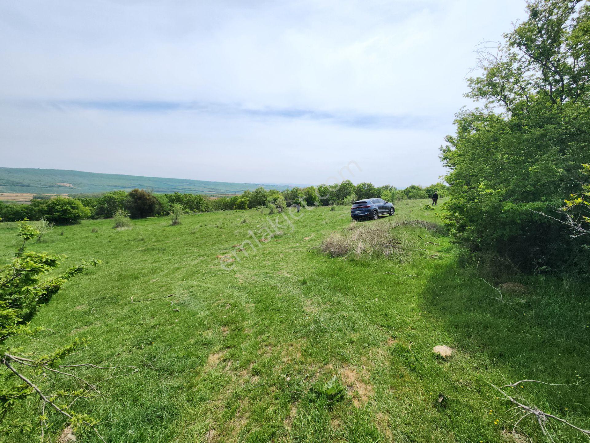 Edirne Keşan Koruklu 5713 M2 Deniz Manzaralı Yola Cephe Tarla - Görsel 2