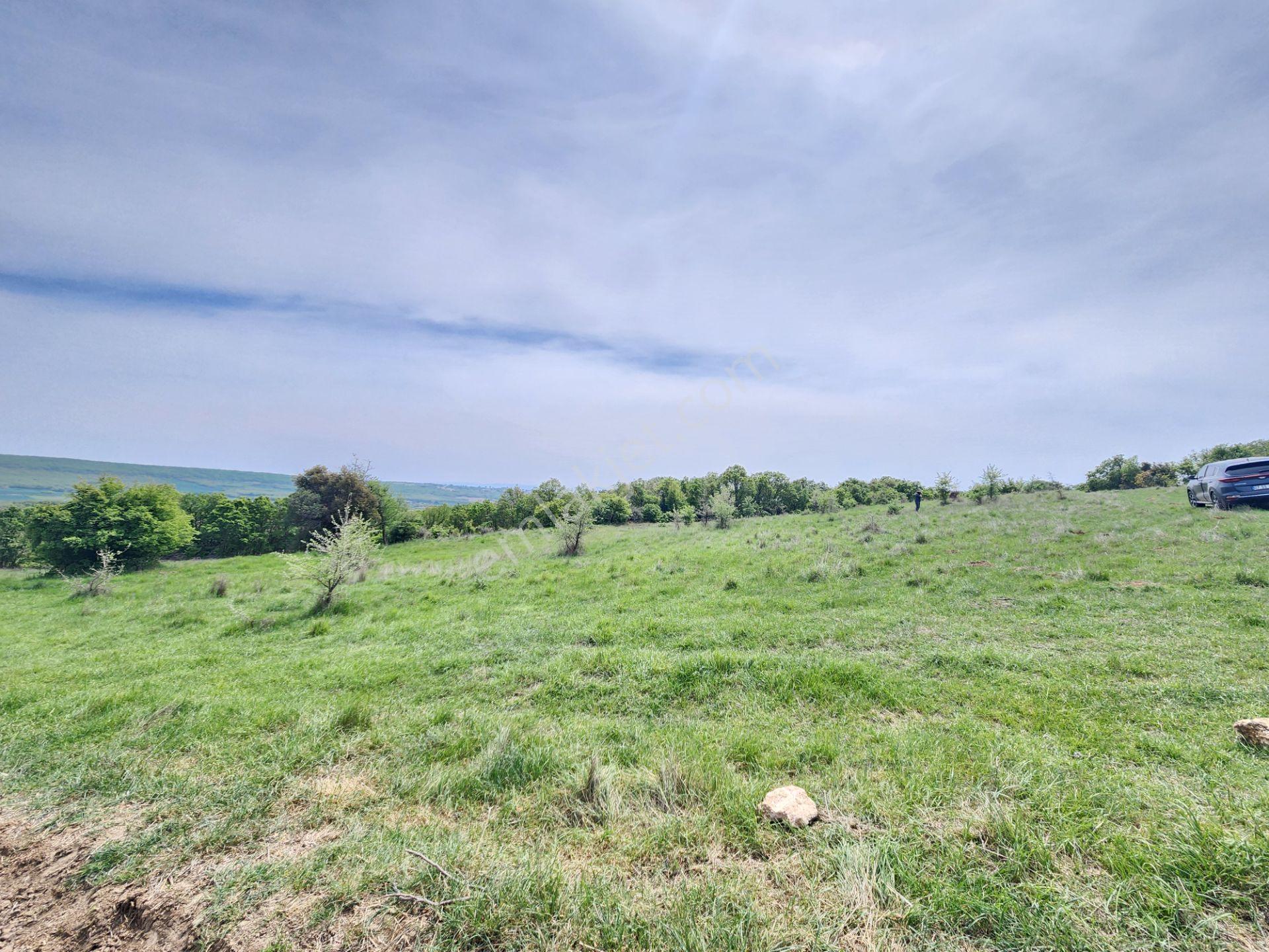 Edirne Keşan Koruklu 5713 M2 Deniz Manzaralı Yola Cephe Tarla - Görsel 10