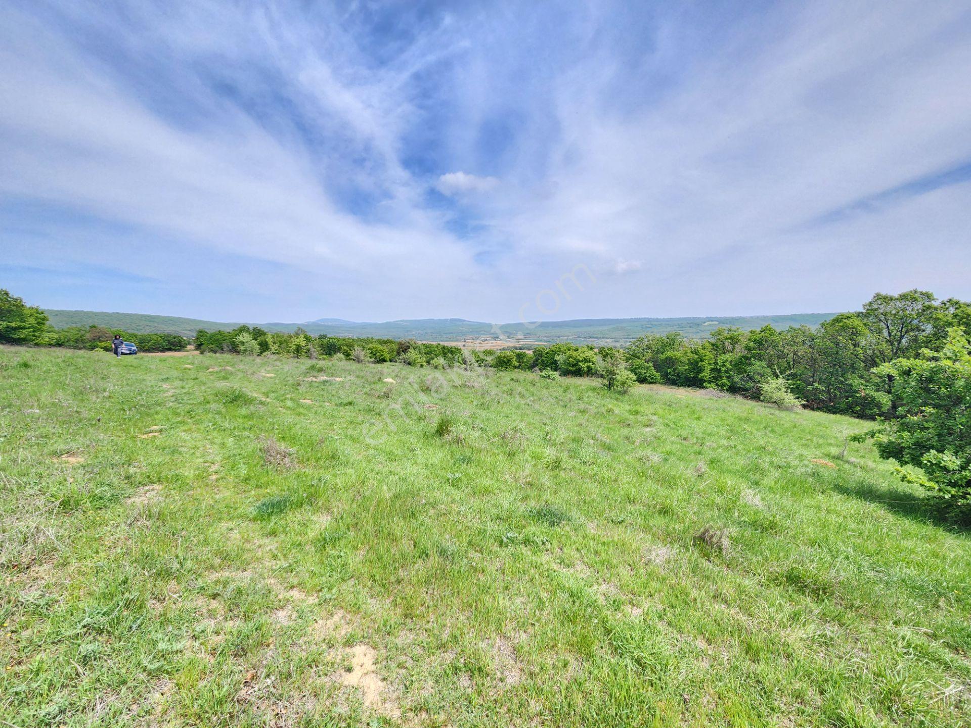 Edirne Keşan Koruklu 5713 M2 Deniz Manzaralı Yola Cephe Tarla - Görsel 22