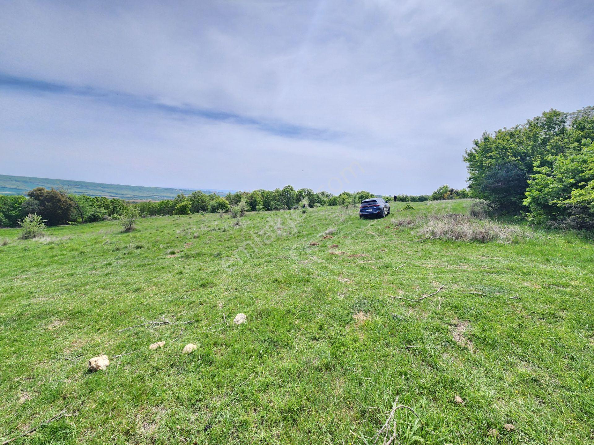 Edirne Keşan Koruklu 5713 M2 Deniz Manzaralı Yola Cephe Tarla - Görsel 6