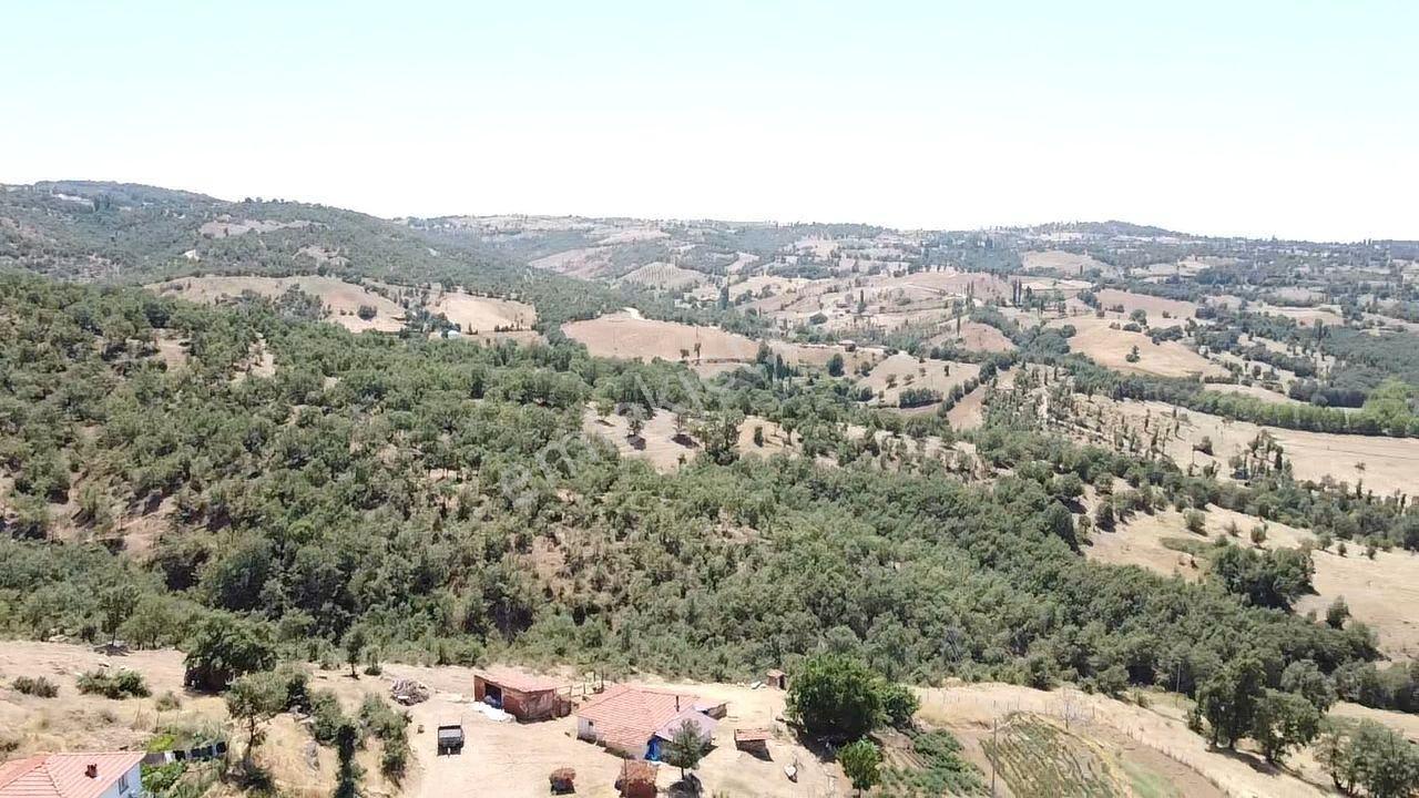Manisa Gördes Köseler 26.300 M2 Köy İçi Tek Tapu Elektrik Su Var - Görsel 24