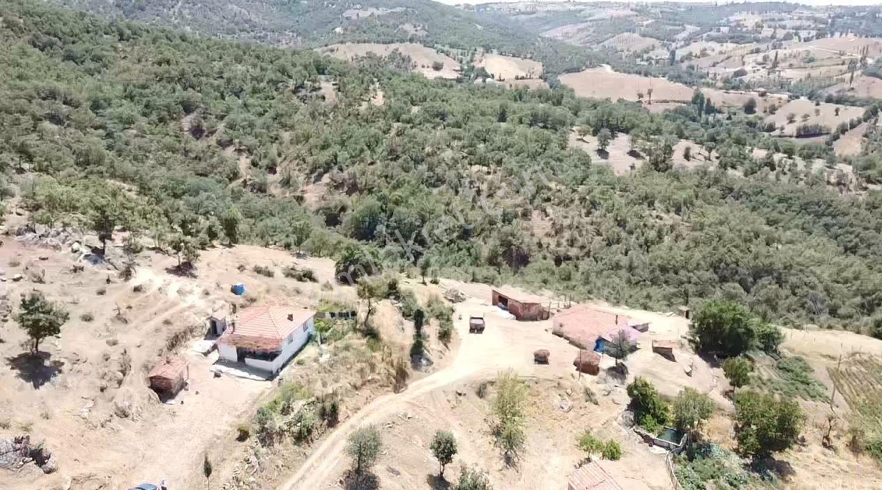 Manisa Gördes Köseler 26.300 M2 Köy İçi Tek Tapu Elektrik Su Var - Görsel 33