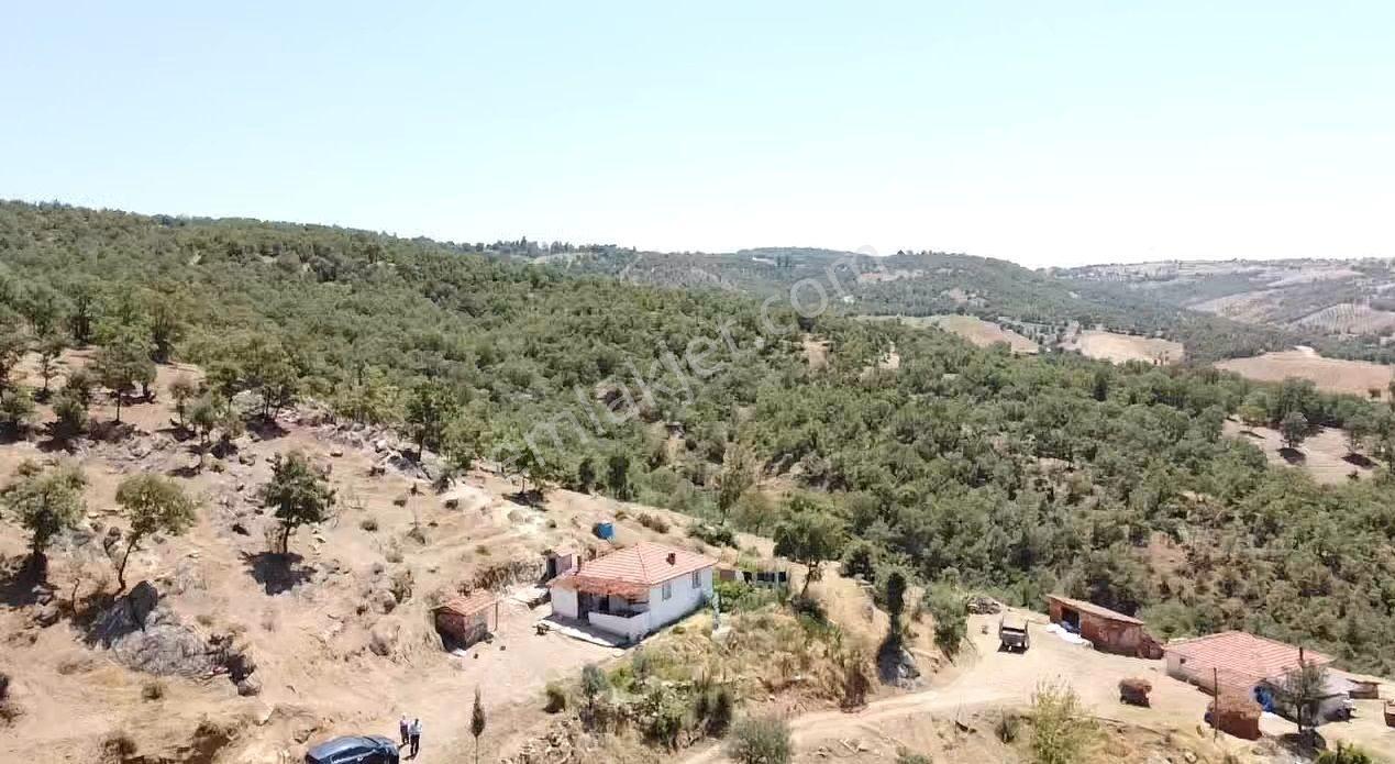 Manisa Gördes Köseler 26.300 M2 Köy İçi Tek Tapu Elektrik Su Var - Görsel 4