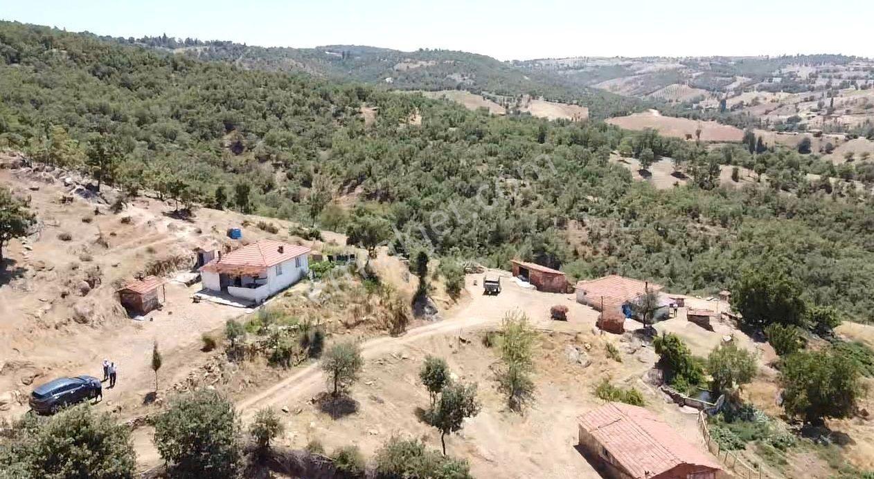 Manisa Gördes Köseler 26.300 M2 Köy İçi Tek Tapu Elektrik Su Var - Görsel 5