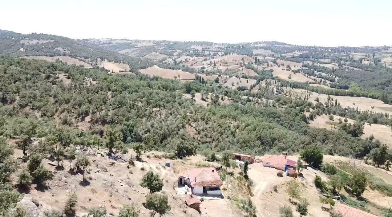 Manisa Gördes Köseler 26.300 M2 Köy İçi Tek Tapu Elektrik Su Var - Görsel 17
