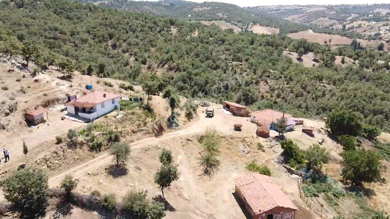 Manisa Gördes Köseler 26.300 M2 Köy İçi Tek Tapu Elektrik Su Var - Görsel 9