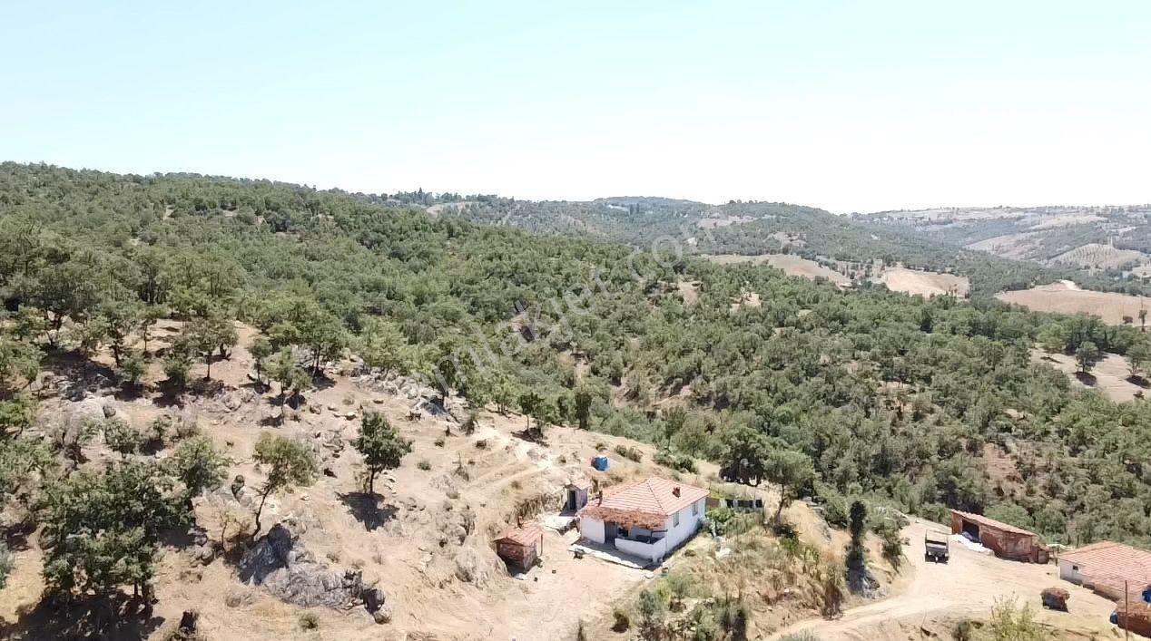 Manisa Gördes Köseler 26.300 M2 Köy İçi Tek Tapu Elektrik Su Var
