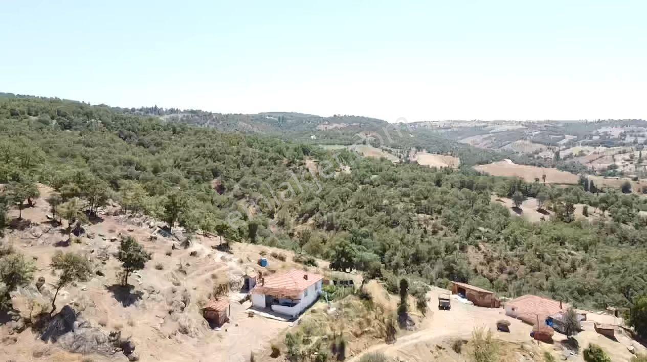 Manisa Gördes Köseler 26.300 M2 Köy İçi Tek Tapu Elektrik Su Var - Görsel 2