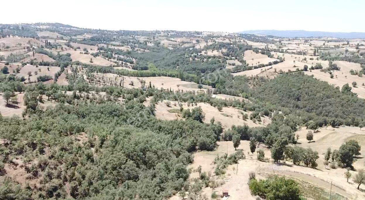 Manisa Gördes Köseler 26.300 M2 Köy İçi Tek Tapu Elektrik Su Var - Görsel 31