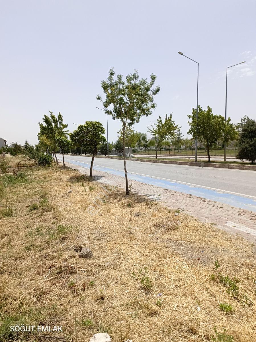 Söğüt Emlak'tan Devlet Hastanesi Yolu Üzerinde Kiralık Arsa - Görsel 6