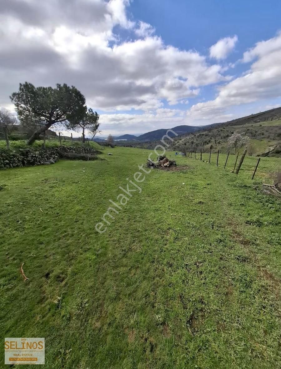 Dereköy'de Köy İçi Satılık Arsa - Görsel 5