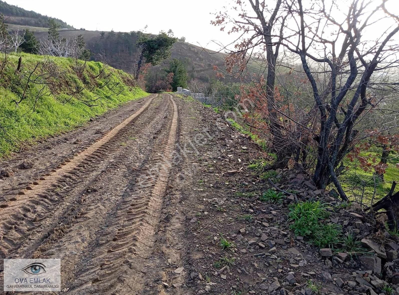 Ova Emlaktan Yola Cephe Tarla