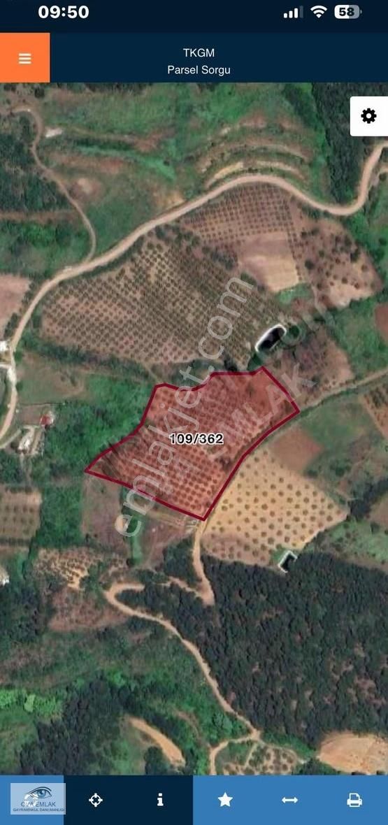 Ova Emlaktan Yola Cephe Tarla - Görsel 8