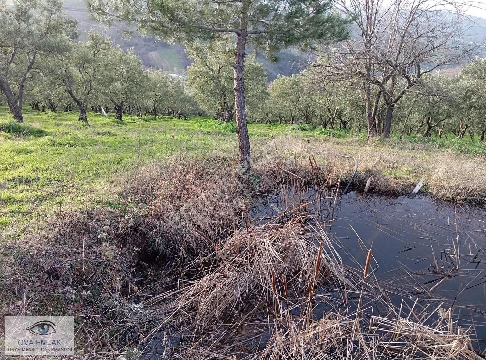Ova Emlaktan Yola Cephe Tarla - Görsel 7