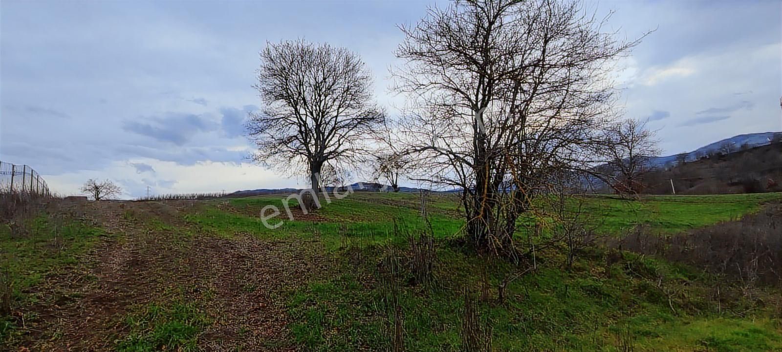 Fitoz Gayrimankul'den Yatırımlık Arsa - Görsel 5