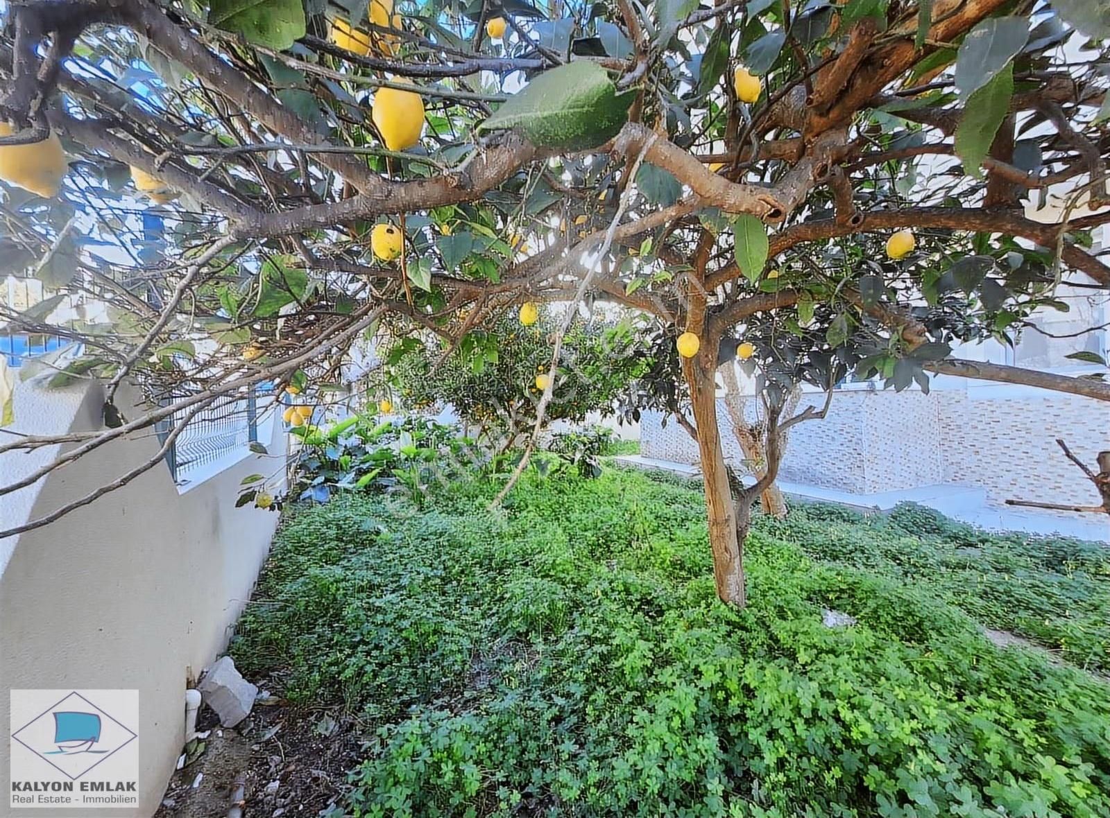 Kalyon Dan Çeşme Merkezde Bahçe Katı Eşyasız 1+1 Kiralık Daire