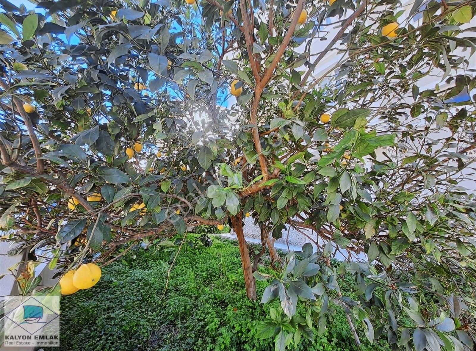 Kalyon Dan Çeşme Merkezde Bahçe Katı Eşyasız 1+1 Kiralık Daire - Görsel 33