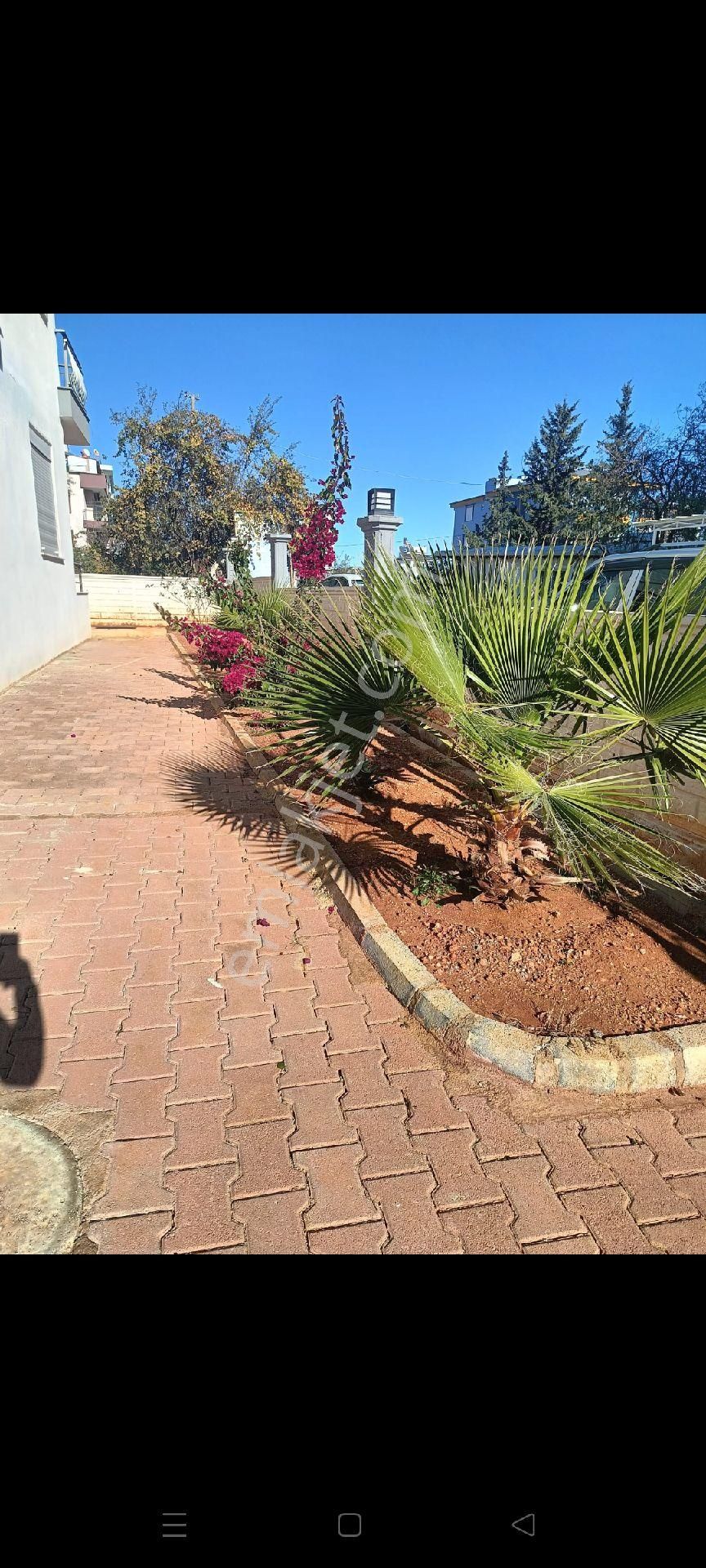 Aktoprakda 3+1 Acil Alırken Kazanma Fırsatı - Görsel 5