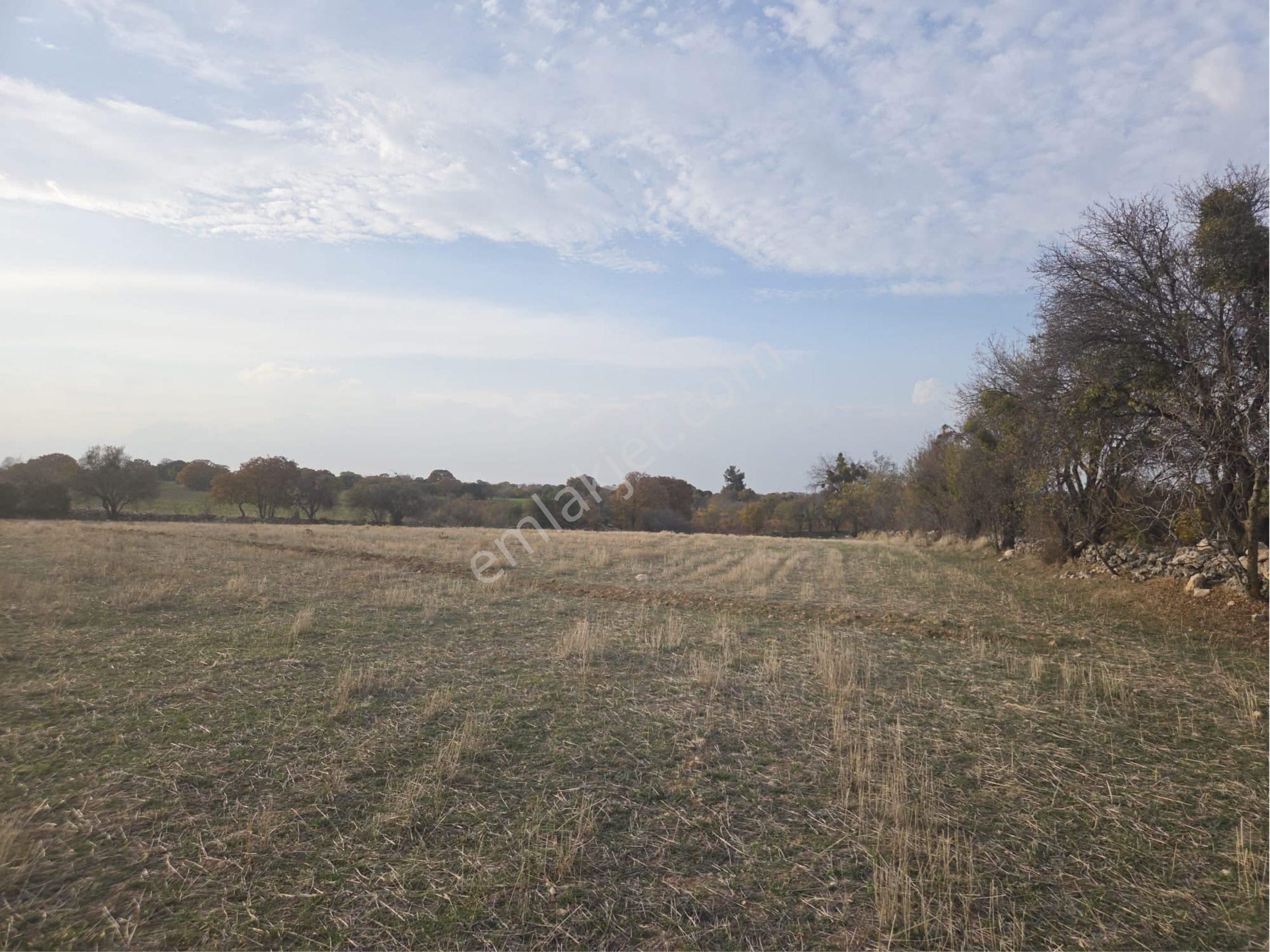 Denizli Acıpayam Satılık 525m² Fırsat Arsa