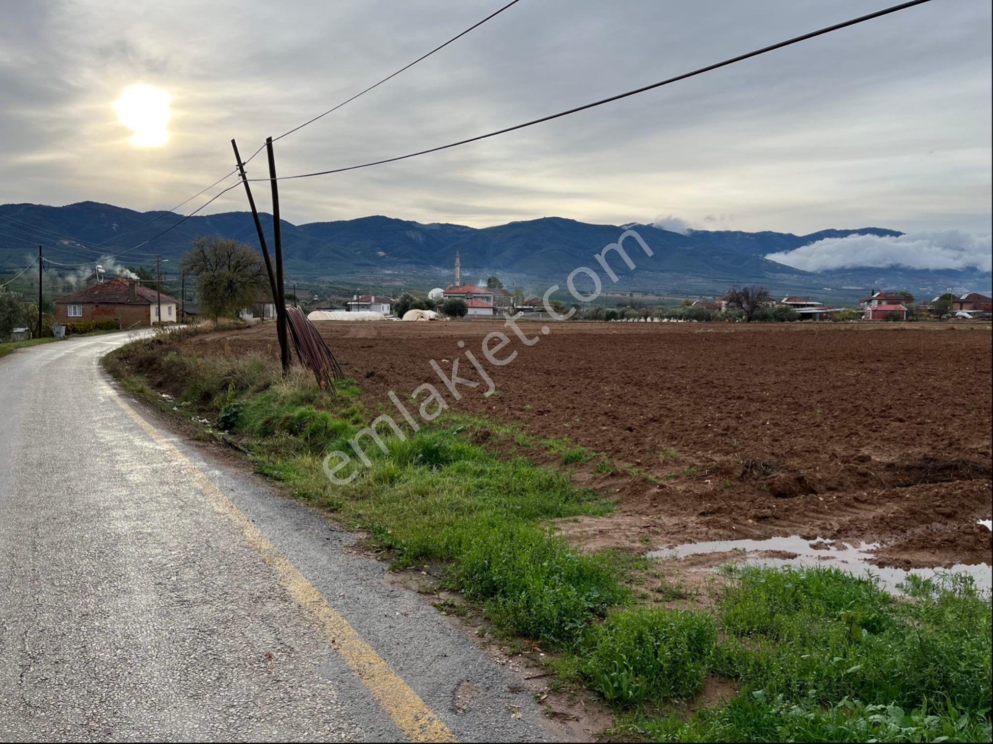 Aydın Karacasu Güzelbeyli Köyü’nde Yola Sıfır 8.283m² İmara Açık Yatırımlık Arazi - Görsel 3