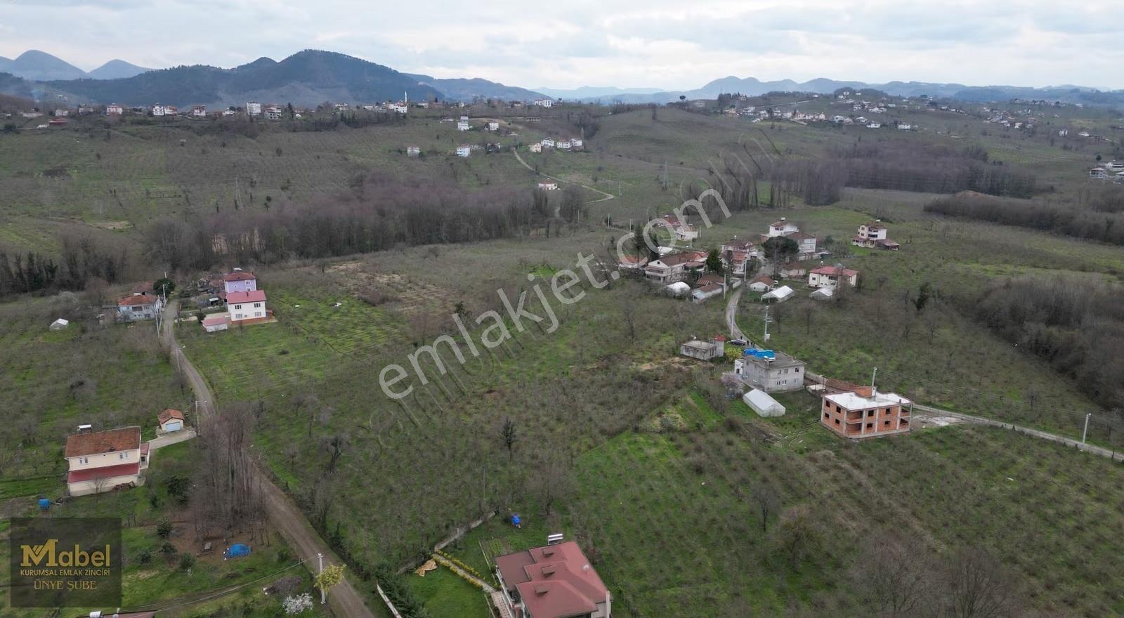 Mabelden - Sahilköy'de Evi İle Beraber 2800 M2 Arsa !! - Görsel 9
