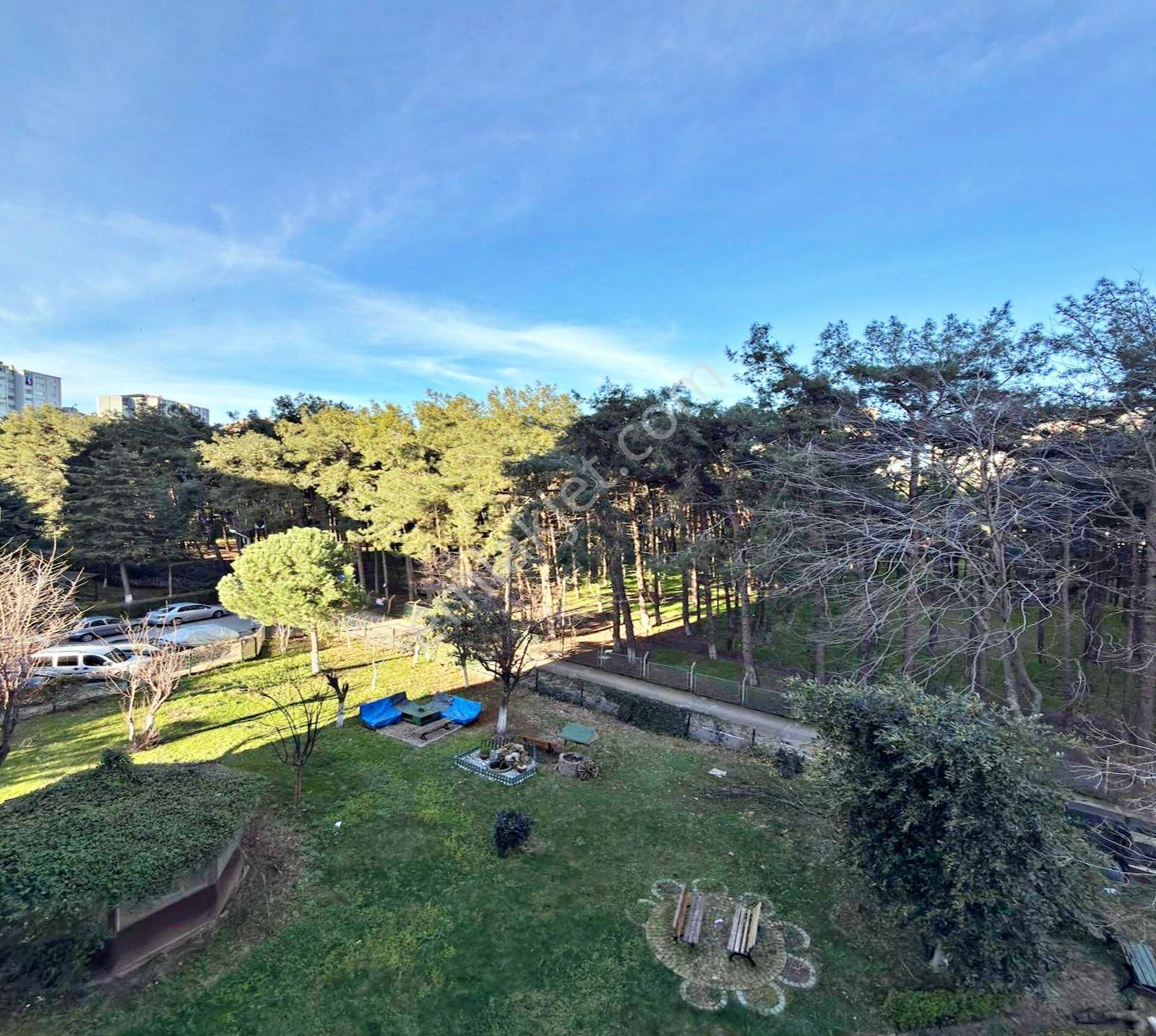 Barış Mahallesi Çamlık Manzaralı Full Dekorlu 3+1 Satılık Daire - Görsel 2