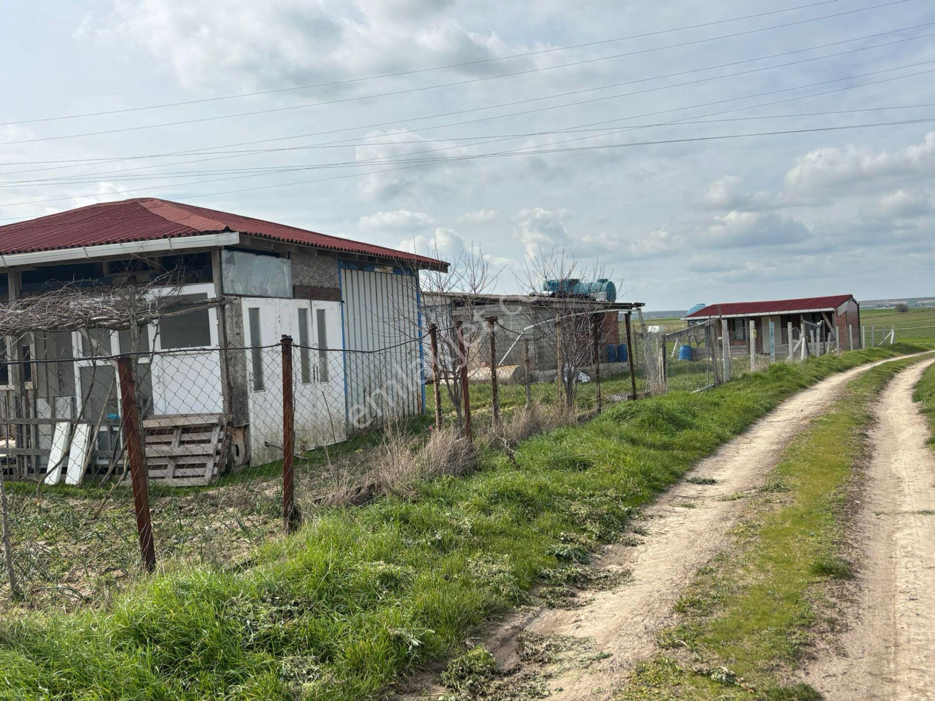 Güven'den Saray'da Tel İle Çevrili Yola Cephe 255m² Kupon Arazi - Görsel 3