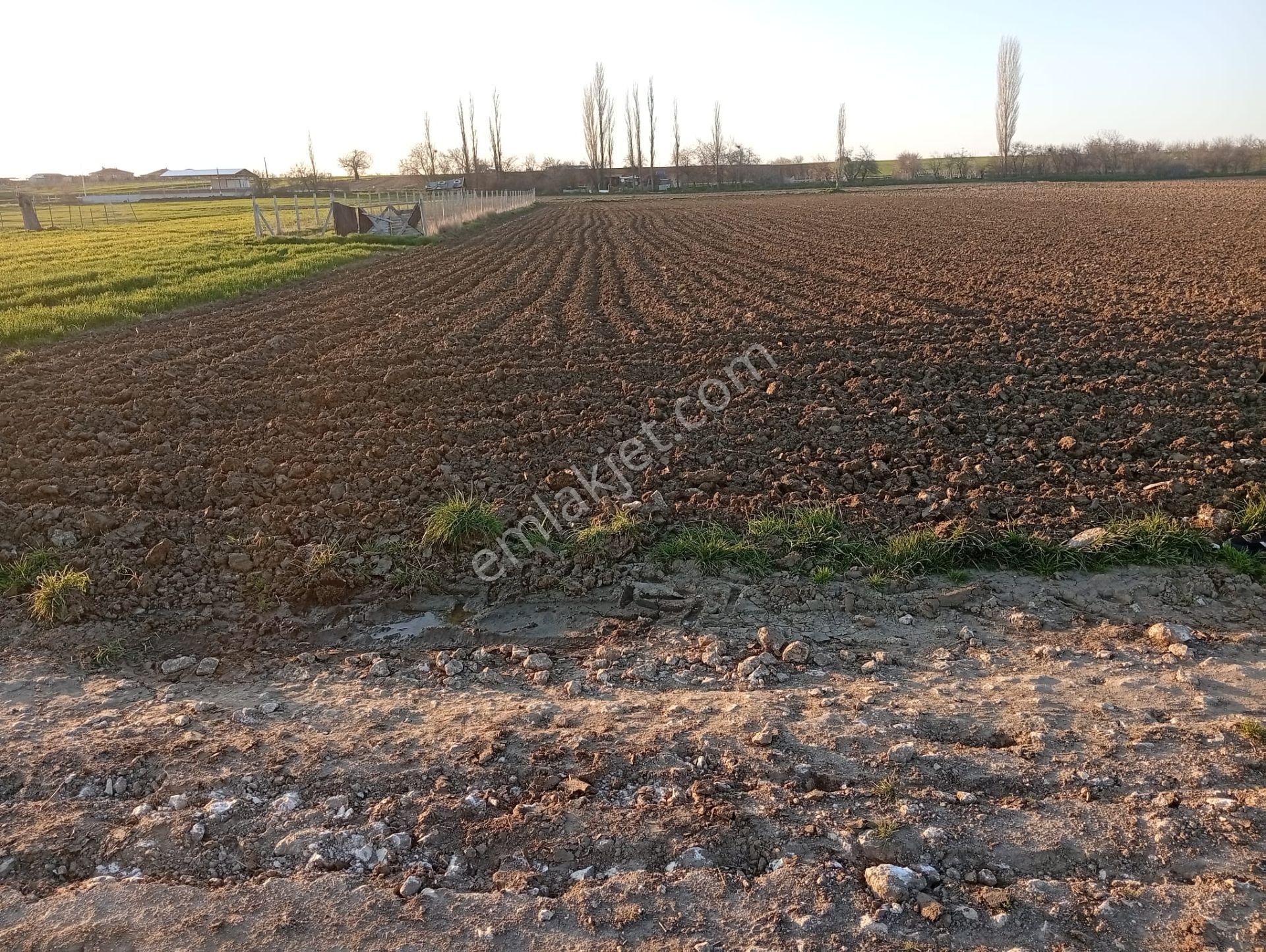 Lüleburgaz Karaağaç Köyünde İmara Yakın Sahibinden Satılık Arsa