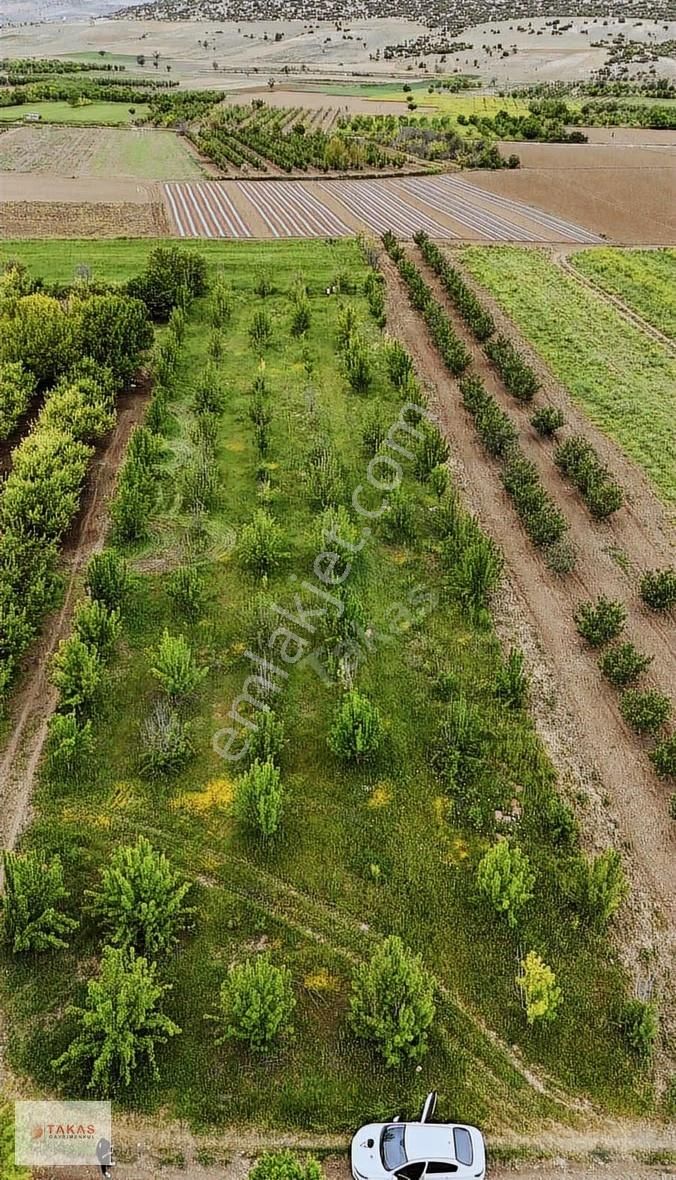 Yolu Suyu Olan 3.750m2 Paylımülkiyetli Satılık Tarla - Görsel 3