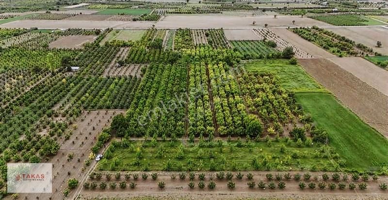 Yolu Suyu Olan 3.750m2 Paylımülkiyetli Satılık Tarla