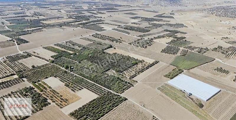 Yolu Suyu Olan 3.750m2 Paylımülkiyetli Satılık Tarla - Görsel 5