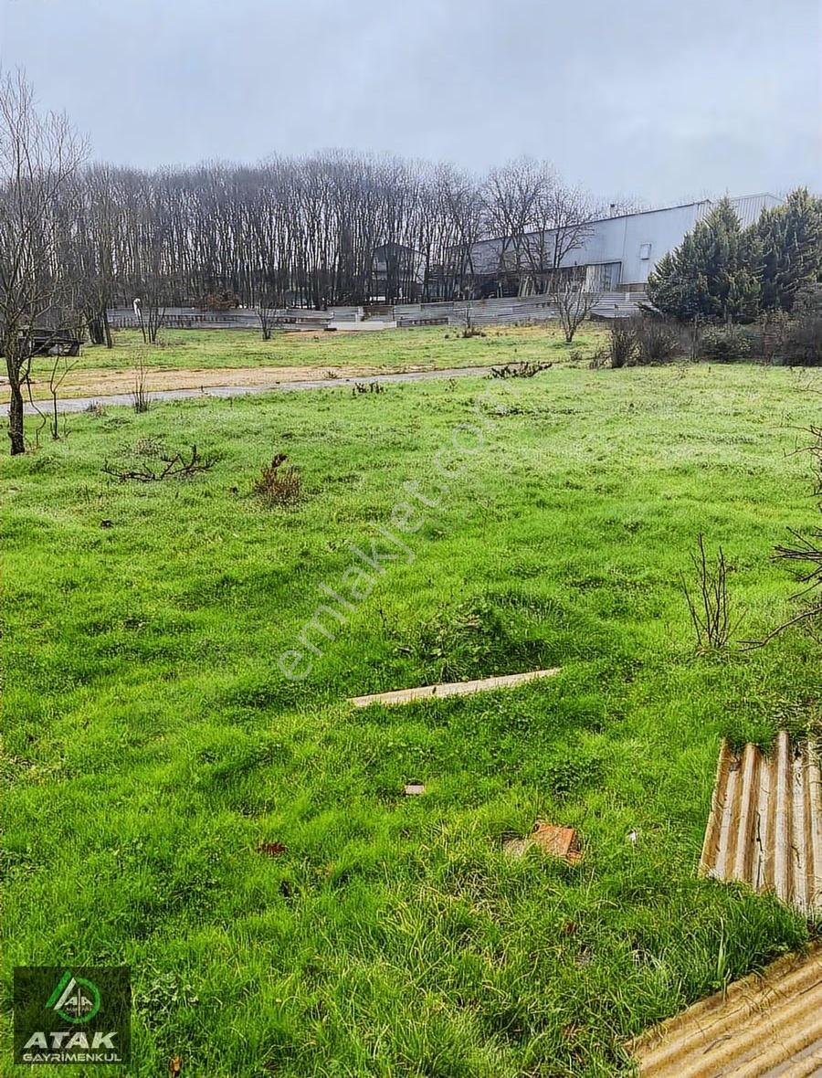 Cumaköy De Ana Asfalt Cepheli Satılık 200 M2 Konut Arsası - Görsel 3