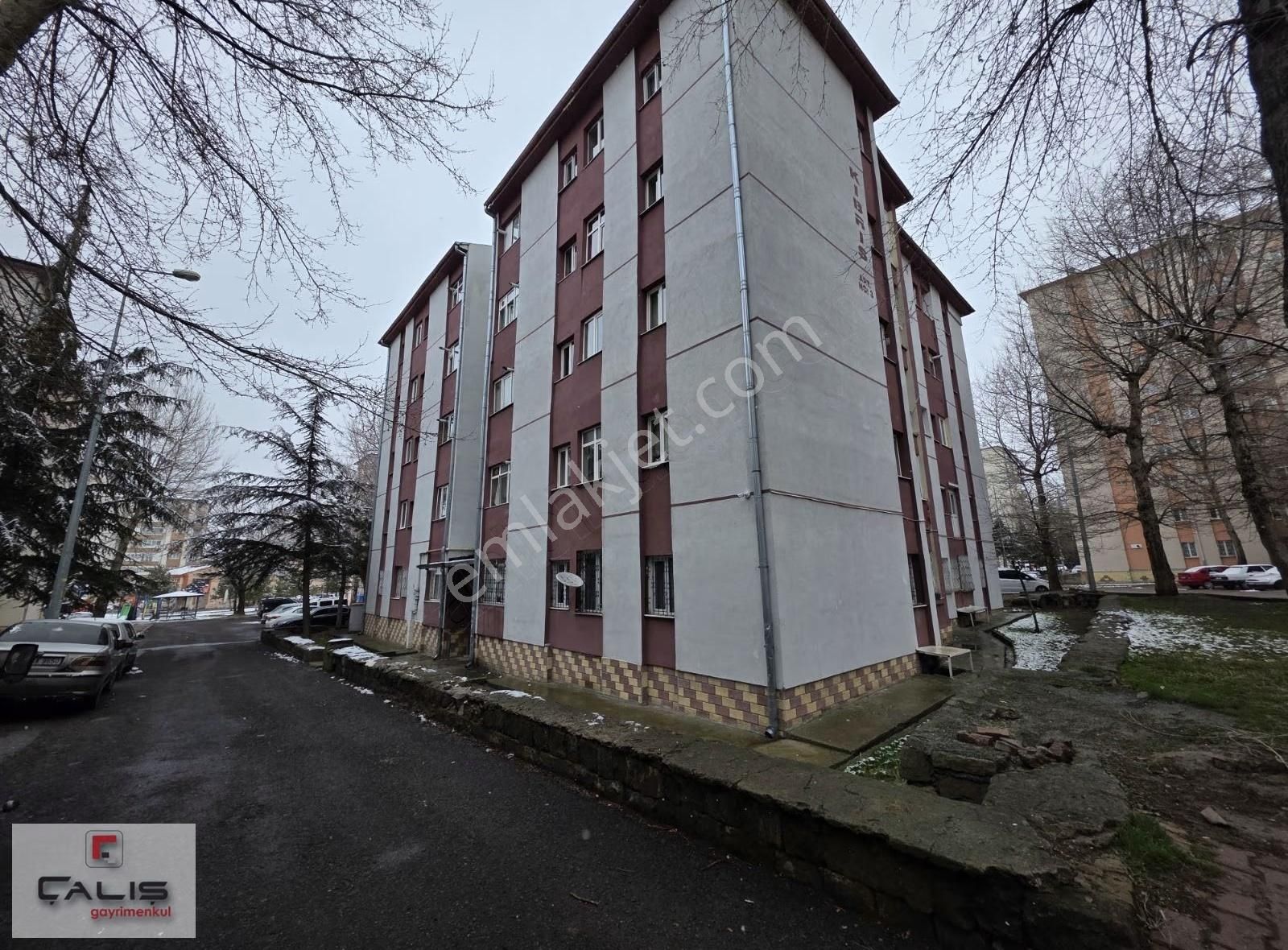 Belsin Selimiye De Yüksek Zemin