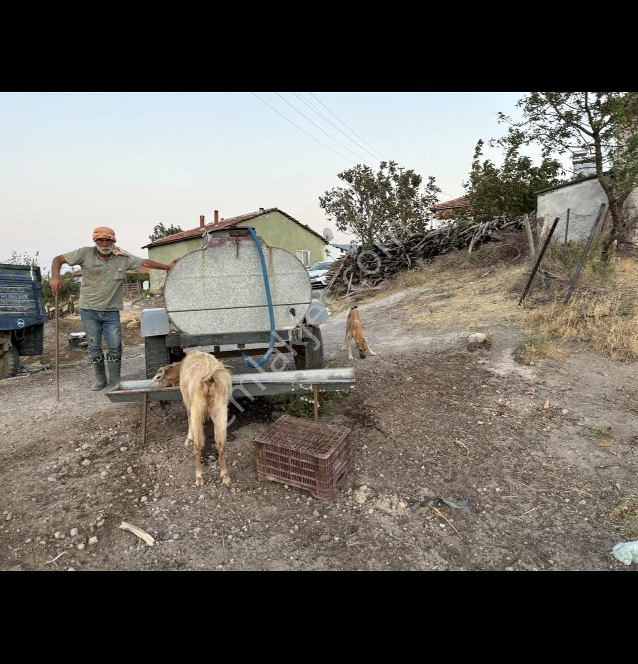761 M.t Köy İçinde. Yolu Var. Tek Tapu .eşsiz Manzara. - Görsel 9