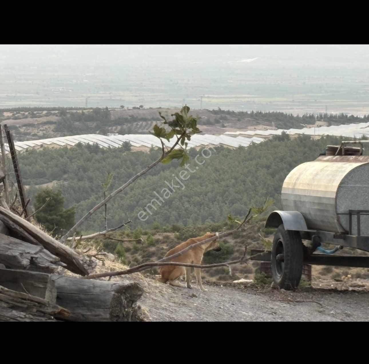 761 M.t Köy İçinde. Yolu Var. Tek Tapu .eşsiz Manzara. - Görsel 10