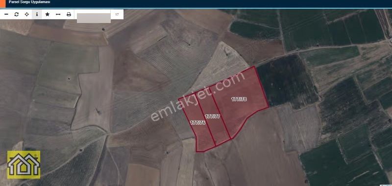 Aşağı Kırda Satılık 16 Buçuk Dönüm Verimli Tarla - Görsel 7