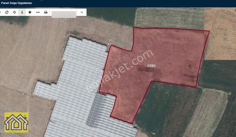 Sera Bölgesinde Çizisigüzel Mevkiinde Çok Verimli Tarla - Görsel 3