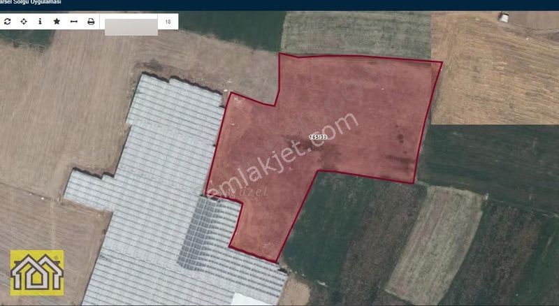 Sera Bölgesinde Çizisigüzel Mevkiinde Çok Verimli Tarla - Görsel 2